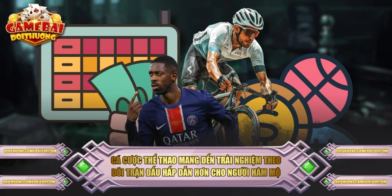 Cá cược thể thao mang đến trải nghiệm theo dõi trận đấu hấp dẫn hơn cho người hâm mộ